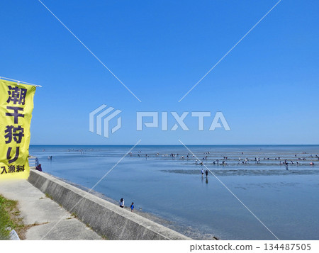 在寬闊的潮灘上挖掘貝類，視野開闊，可俯瞰地平線。 134487505