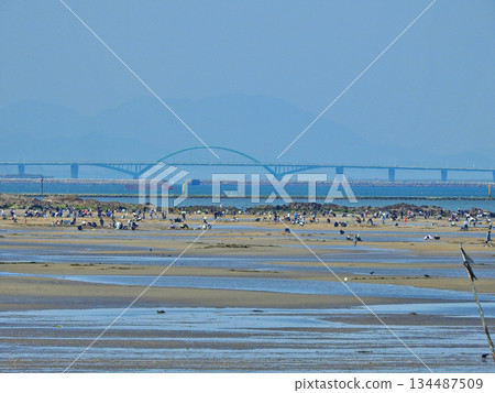 People gathering shells on the tidal flats overlooking the Kitakyushu Airport Link Bridge 134487509