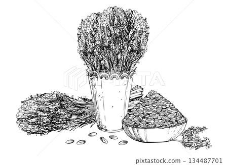 Lavender bunch and seeds heap in clay wooden bowl, lavandula stems bouquet in cachepot with lace trim. Isolated illustration hand drawn in vector ink. Spa product labels, gift wrap, wellness packaging Lavender bunch and seeds heap in clay wooden bowl, lavandula stems bouquet in cachepot with lace trim. Isolated illustration hand drawn in vector ink. Spa product labels, gift wrap, wellness packaging 134487701
