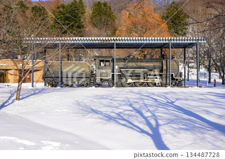 Yubari Railway No.21 (Kuriyama Park) 134487728