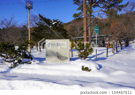 冬季的栗山公園 134487811