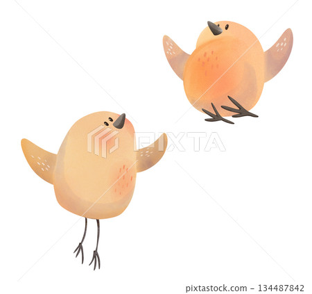 Cute children's illustration of two adorable orange chicks with rosy cheeks, playfully posing in different angles. Perfect for Easter cards, spring greetings, nursery decor, kids' books, baby designs Cute children's illustration of two adorable orange chicks with rosy cheeks, playfully posing in different angles. Perfect for Easter cards, spring greetings, nursery decor, kids' books, baby designs 134487842