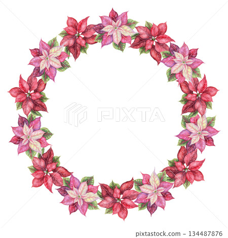 Christmas wreath of pink and red poinsettia flowers in the circle shape. Hand painted watercolor create a traditional winter mood. Perfect for festive frame template and greeting card design. Christmas wreath of pink and red poinsettia flowers in the circle shape. Hand painted watercolor create a traditional winter mood. Perfect for festive frame template and greeting card design. 134487876