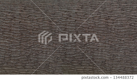 Brown tree bark texture forming natural background pattern Brown tree bark texture forming natural background pattern 134488372