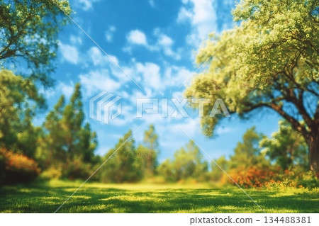 Beautiful blurred background image of spring nature with surrounded by trees against a blue sky with clouds on a bright sunny day. 134488381