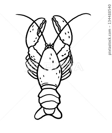 Minimalist hand-drawn lobster in line art style. Vector illustration for seafood branding, tattoos, logos, prints, and marine-themed designs. Minimalist hand-drawn lobster in line art style. Vector illustration for seafood branding, tattoos, logos, prints, and marine-themed designs. 134488540