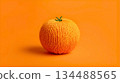 羊毛橘子，冬季、新年、暖桌的象徵。 134488565