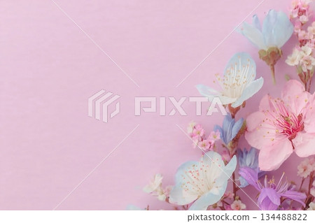 beautiful spring flowers on paper background beautiful spring flowers on paper background 134488822