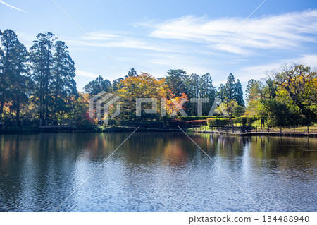 Autumn leaves of Yufuin gold scale lake Autumn leaves of Yufuin gold scale lake 134488940