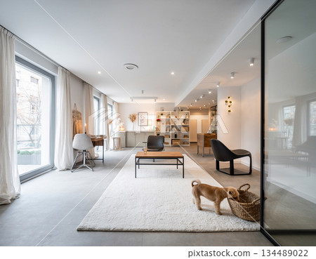 客廳裡有一隻小狗 134489022