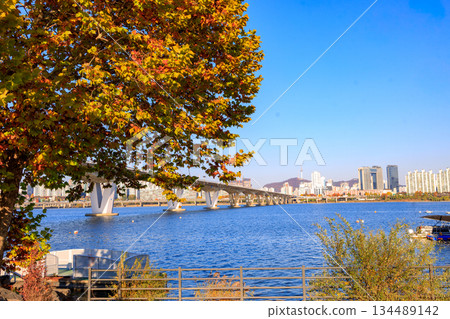 A pleasant park along the Han River where you can enjoy a resort atmosphere A pleasant park along the Han River where you can enjoy a resort atmosphere 134489142