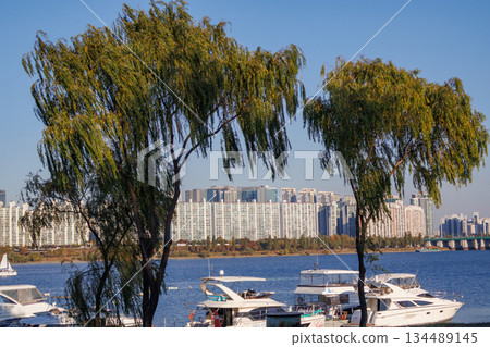 A pleasant park along the Han River where you can enjoy a resort atmosphere 134489145