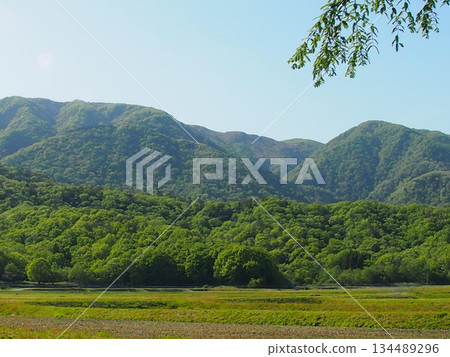 Fresh green mountains and rural scenery under the blue sky 134489296