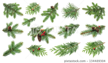 Holiday Pine Decor 134489304
