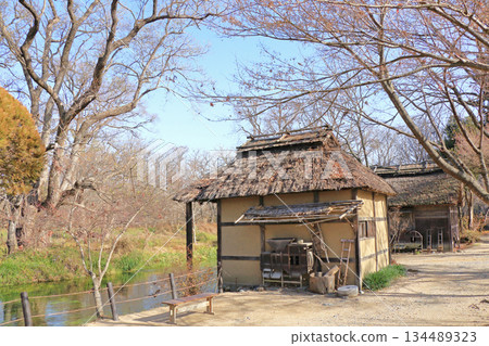 Azumino in early winter - Watermill at Daio Wasabi Farm Azumino in early winter - Watermill at Daio Wasabi Farm 134489323