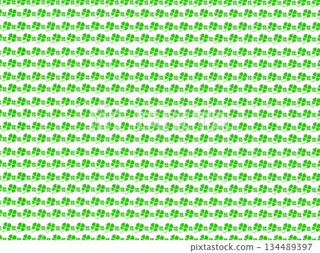 白色背景上繪有大小不一的四葉草圖案。 134489397