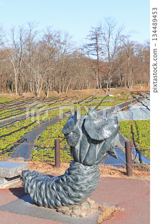 Azumino Daio芥末農場的冬天 134489453