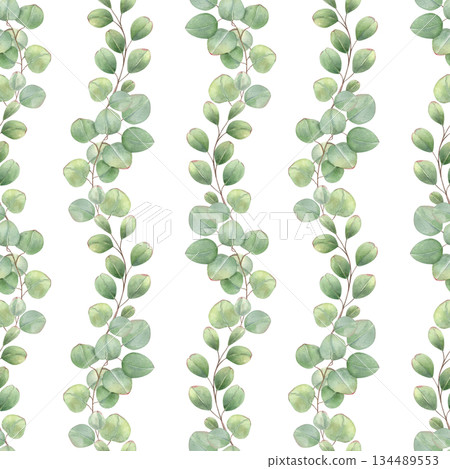 Watercolor eucalyptus branches with leaves seamless pattern on isolated background. Hand painted wavy aromatic plant growing upward ornate for textile design, interior decor, wedding collection. 134489553