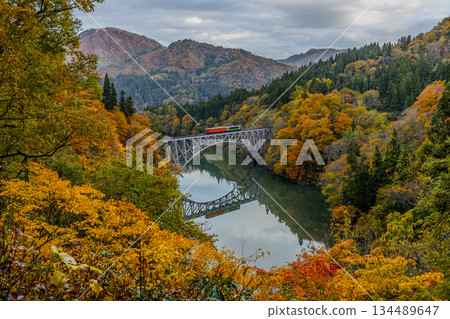 The Tadami Line runs over a bridge covered in autumn leaves The Tadami Line runs over a bridge covered in autumn leaves 134489647