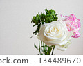 Roses and carnations 134489670