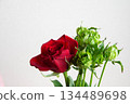 Red and green roses 134489698