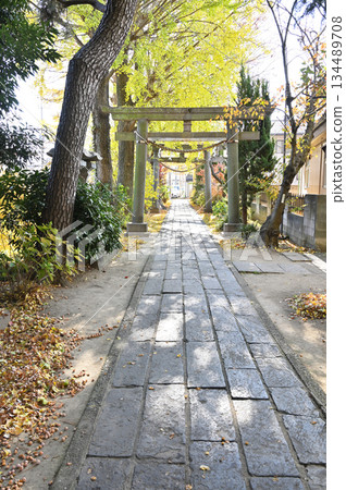 越谷市、大澤香取神社散步 越谷市、大澤香取神社散步 134489708