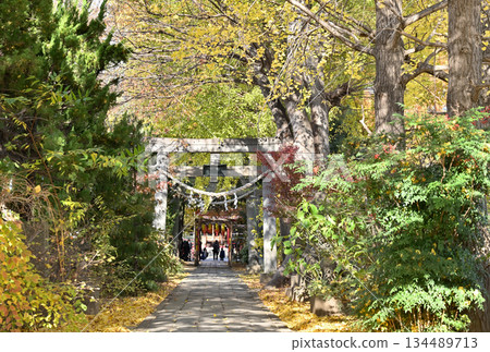 Walking around Koshigaya and Osawa Katori Shrine, Osawa, Koshigaya City 134489713