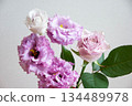 Roses and Turkish bellflowers 134489978