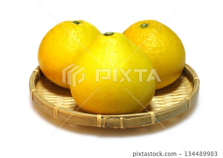 Pearl citrus (Tosa Buntan) 134489983