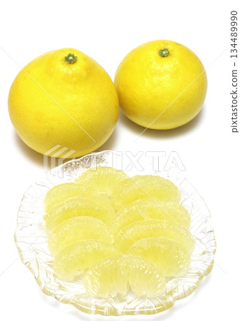 Pearl citrus (Tosa Buntan, vertical composition) Pearl citrus (Tosa Buntan, vertical composition) 134489990