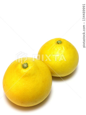 Pearl citrus (Tosa Buntan, vertical composition) 134489991