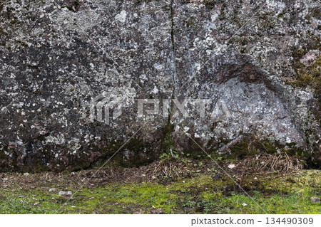 A weathered rock wall covered in lichen with a mossy base and sparse grass A weathered rock wall covered in lichen with a mossy base and sparse grass 134490309
