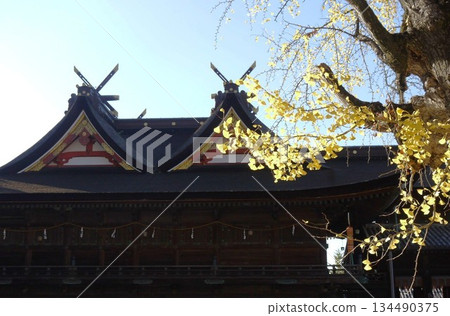吉備津神社的主殿、參拜殿和銀杏樹 134490375