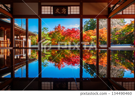 群馬縣桐生市法德寺的地面上，秋葉和藍天倒映在地面上。 134490460