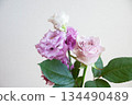 Roses and Turkish bellflowers 134490489