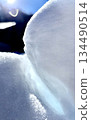 Snow on snow 134490514