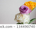 Three-color roses 134490740
