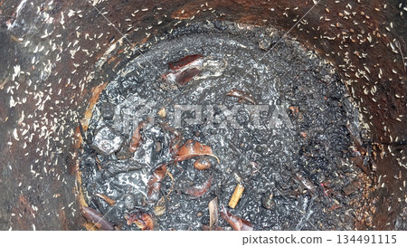 Detailed 4k closeup of dirty trash bin with small maggots Detailed 4k closeup of dirty trash bin with small maggots 134491115