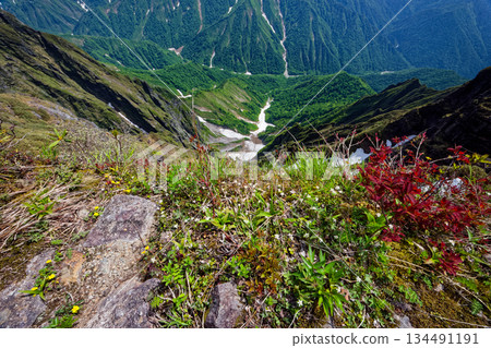 A bird's-eye view of Ichinokurazawa from the ridge of Mount Tanigawa and Mount Ichinokura, where the three-leafed coptis blooms A bird's-eye view of Ichinokurazawa from the ridge of Mount Tanigawa and Mount Ichinokura, where the three-leafed coptis blooms 134491191