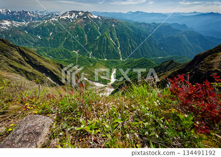 View of Ichinokurazawa, Mount Asahi, the Echigo Sanzan, and the Oze mountain range from the ridge of Mount Tanigawa and Mount Ichinokura, where the three-leafed coptis blooms View of Ichinokurazawa, Mount Asahi, the Echigo Sanzan, and the Oze mountain range from the ridge of Mount Tanigawa and Mount Ichinokura, where the three-leafed coptis blooms 134491192