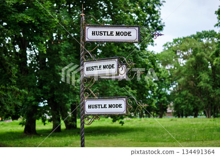 A decorative signpost displays Hustle Mode on three signs, repeated down the pole, set against a backdrop of green grass and vibrant trees in a bright outdoor setting A decorative signpost displays Hustle Mode on three signs, repeated down the pole, set against a backdrop of green grass and vibrant trees in a bright outdoor setting 134491364