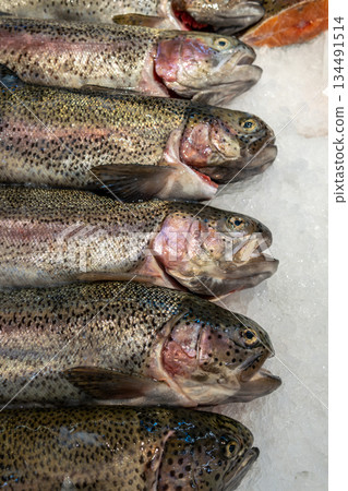 Fresh Rainbow Trout on Ice at Market Display Showcasing Fresh Catch for Seafood Lovers 134491514