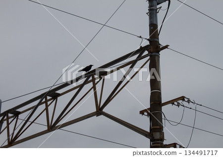 軌道上的架空電線 134491717