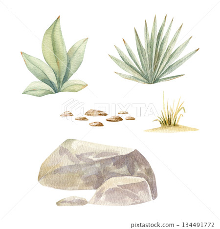 Watercolor Savannah and safari Elements Clipart Set. Stones, Grass, Leaves, Bushes, African Nature  134491772