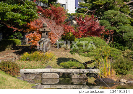 Autumn leaves and stone lanterns at the Kyu-Shiba Rikyu Gardens | Autumn-colored scenery of a Japanese garden 134491814