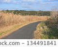 鈴木草和蜿蜒的小路 134491841