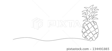 Pineapple one line drawing, continuous single minimal outline illustration. Pineapple one line drawing, continuous single minimal outline illustration. 134491865