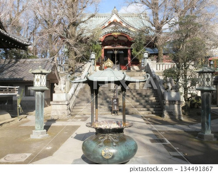 Taito Ward, Tokyo! Mt. Mt. Mt. Shoten Taito Ward, Tokyo! Mt. Mt. Mt. Shoten 134491867
