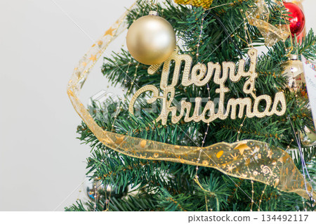 Christmas Image 134492117
