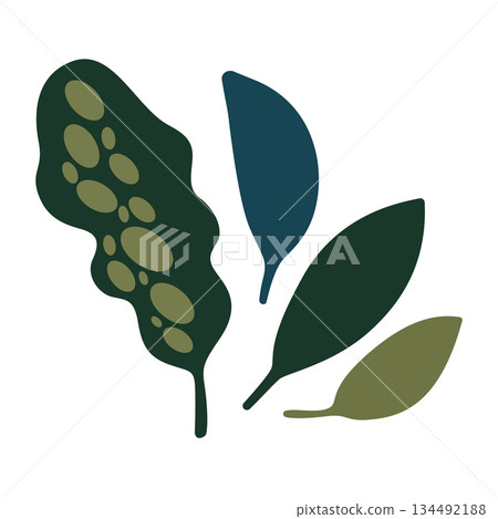 Set of juicy and fresh green spring and summer leaves: birch, oak. Vector elements for minimalist illustrations 134492188